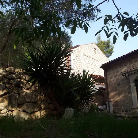 Bed & Breakfast Al Dosello *